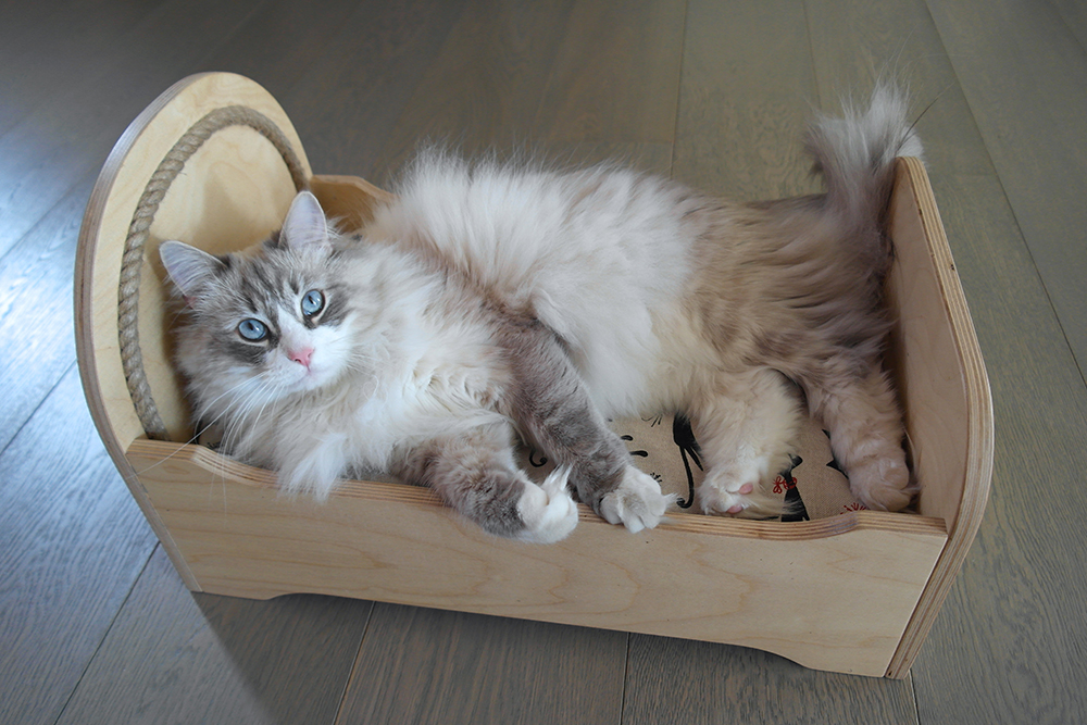 letto-legno-gatti